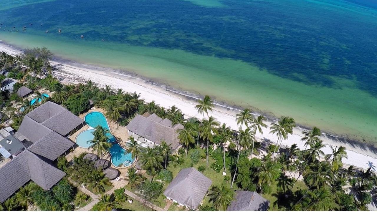 1 Jaz adonia   ZANZIBAR